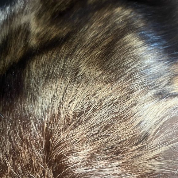 Vtg Marshal Field & Company Hat Bars Genuine Fox Fur string closure - Picture 6 of 10